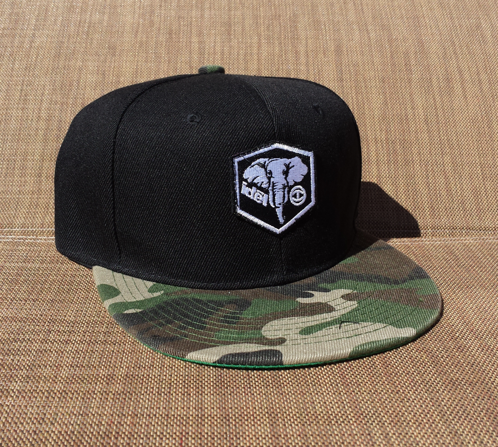 IDĒL Camo Snapback