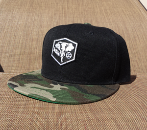 IDĒL Camo Snapback
