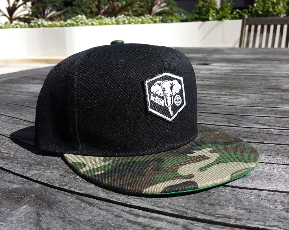IDĒL Camo Snapback